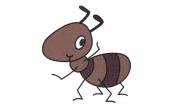 动物简笔画小蚂蚁