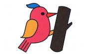 动物简笔画啄木鸟