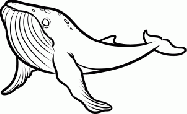 如何画鲸鱼简笔画