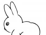 如何画兔子的简笔画 3张