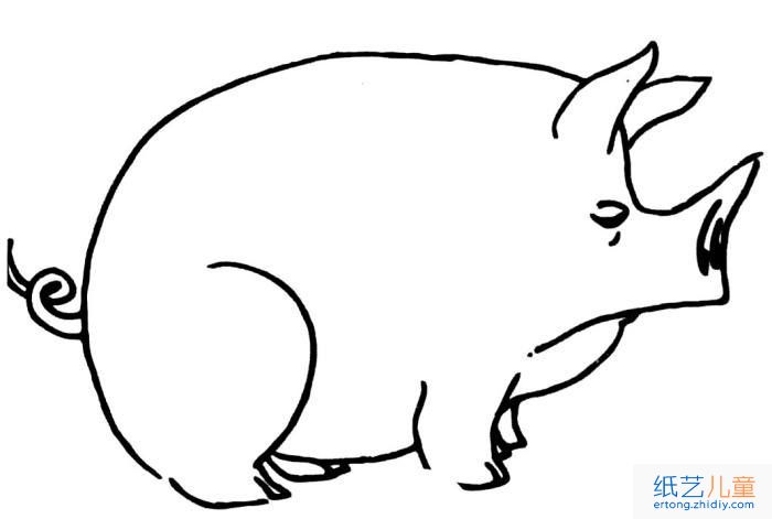 猪的简笔画