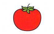 植物简笔画西红柿