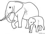 动物大象简笔画
