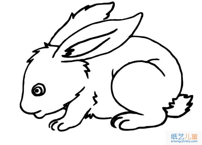 兔子的简笔画 3张