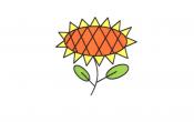 植物简笔画向日葵
