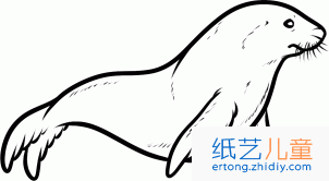 海狮简笔画4张