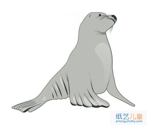 海狮简笔画4张