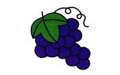 水果简笔画葡萄
