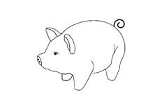 看起来特别乖巧可爱的小肥猪动物简笔画重要步骤