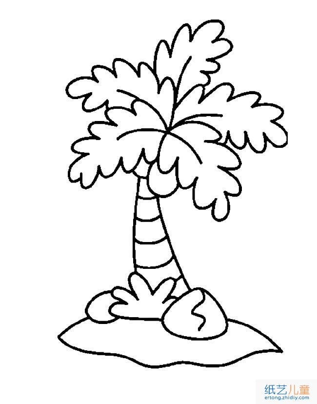 椰树植物简笔画步骤图片大全