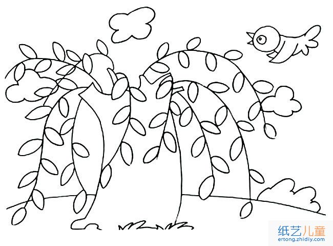 柳树植物简笔画步骤图片大全