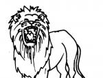 动物简笔画：狮子