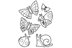 蝴蝶七星瓢虫蜗牛组合的简笔画