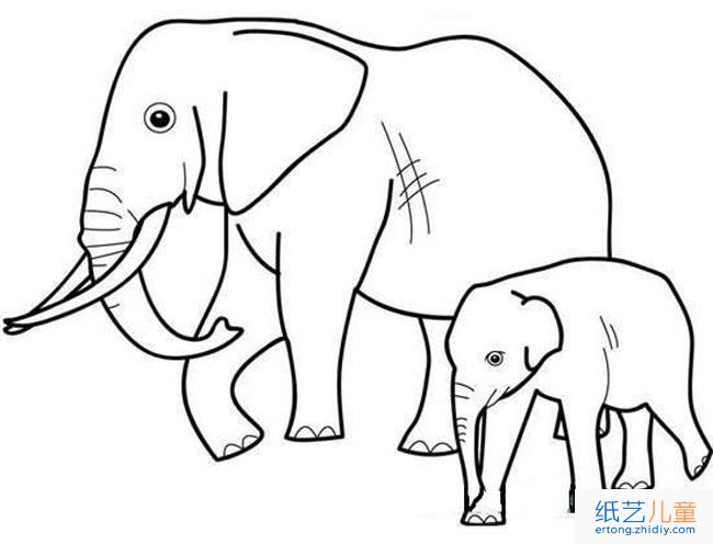 大象带着小象动物简笔画步骤图片大全