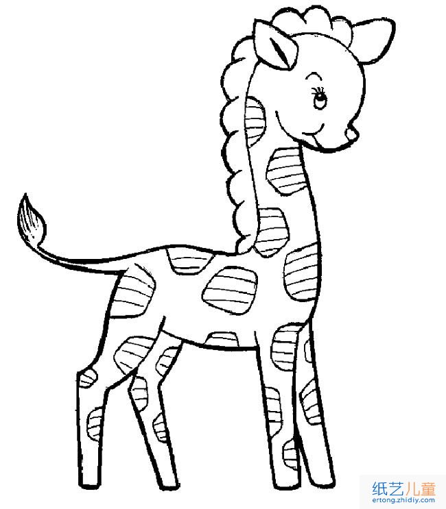 小长颈鹿动物简笔画步骤图片大全