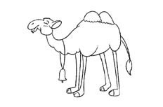一头挂着很大铃铛的双峰骆驼动物简笔画步骤图片大全