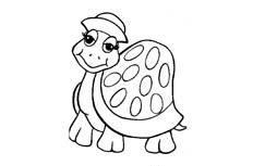 打扮得非常漂亮的雌性乌龟动物简笔画步骤图片大全