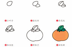 酸甜可口的橘子简笔画绘制方式