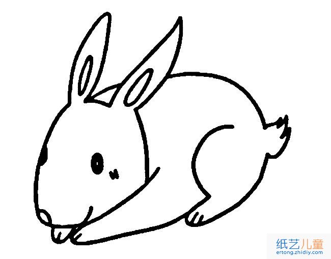小兔子动物简笔画步骤图片大全