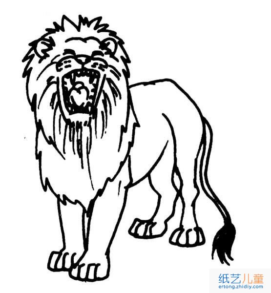 动物简笔画：狮子3张