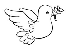 一只正在飞翔的洁白的和平鸽小鸟简笔画步骤图片