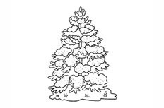 一棵很美丽的大雪压圣诞树简笔画图片赏析鉴赏