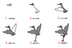 展翅欲飞的小灰鹤简笔画绘制步骤