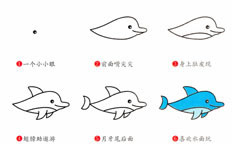 智慧非常高的海豚简笔画绘制步骤