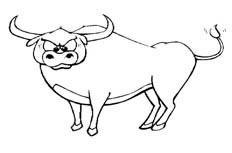 看起来表情非常凶恶的公牛动物简笔画步骤图片