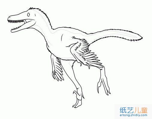 恐龙简笔画 6张