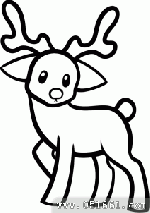 如何画驯鹿 驯鹿简笔画步骤