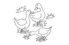 三只鸭子在一起觅食的动物简笔画步骤图片大全