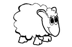 看起来非常温顺可爱的绵羊动物简笔画步骤图片大全