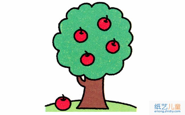 苹果树植物简笔画步骤图片大全