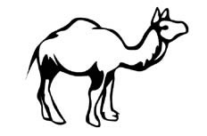 一只看起来很健壮的骆驼动物简笔画步骤图片大全