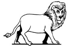 看起来非常凶猛的狮子动物简笔画步骤图片大全
