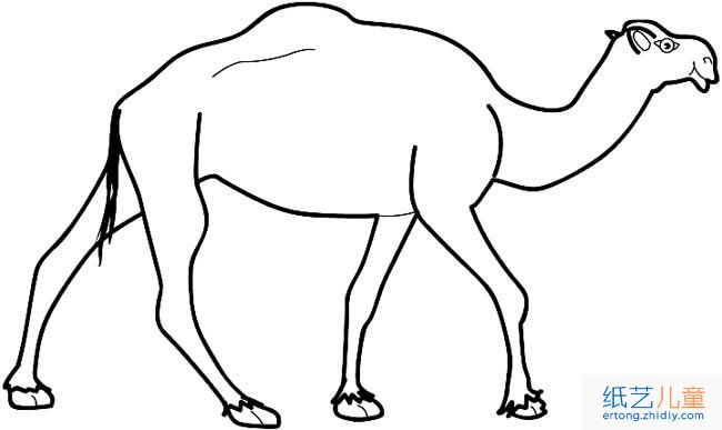 骆驼动物简笔画步骤图片大全