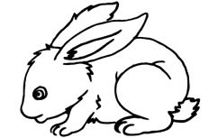 一只肥嘟嘟的可爱兔子简笔画