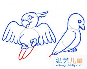 如何画鸟类 鸟类简笔画步骤图