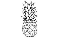 看起来非常对称的菠萝水果简笔画绘制方式