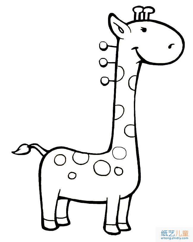 可爱长颈鹿动物简笔画步骤图片大全