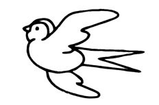 一只正在展翅飞翔的燕子小鸟简笔画步骤图片