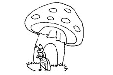 蚂蚁和蘑菇房子简笔画的绘制步骤