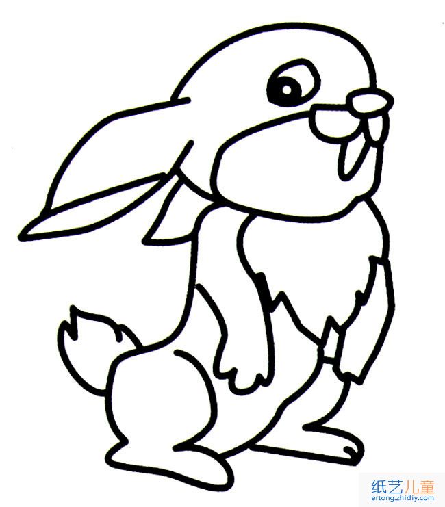 卡通兔子动物简笔画步骤图片大全