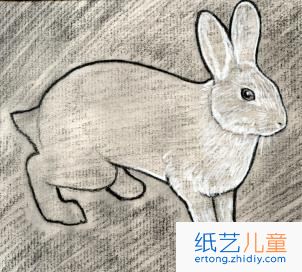 小白兔简笔画