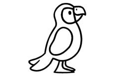 一只看起来非常漂亮美丽的鹦鹉动物简笔画步骤图片