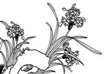 高贵典雅的水仙花植物简笔画步骤图片大全