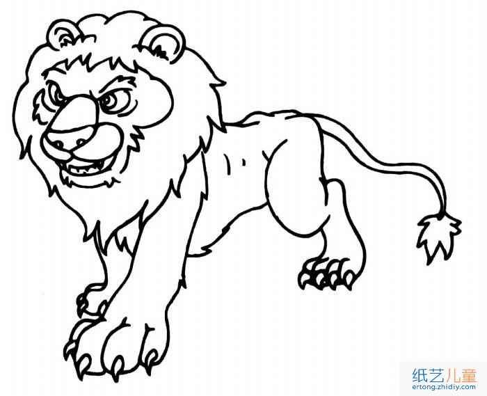 动物简笔画：狮子3张