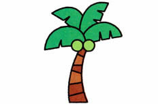 充满异国风情的很高的椰子树植物简笔画主要步骤
