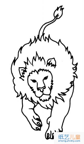 动物狮子简笔画4张